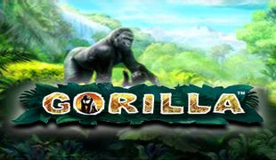 gorilla (310x180, 67Kb)