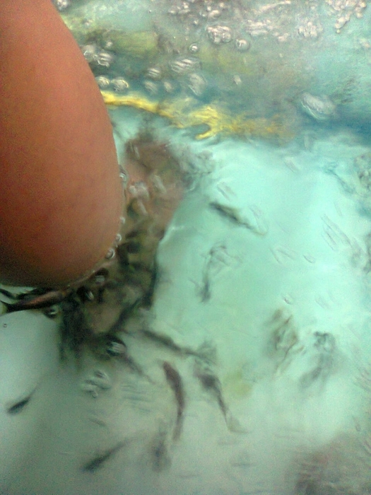 5024695_Foto0051 (525x700, 247Kb)