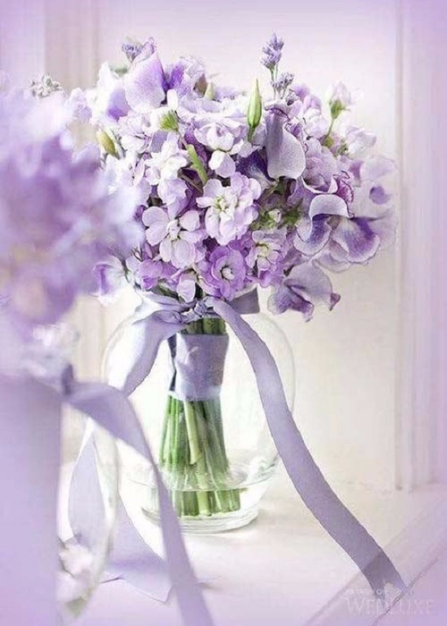 image (8) (500x700, 284Kb)