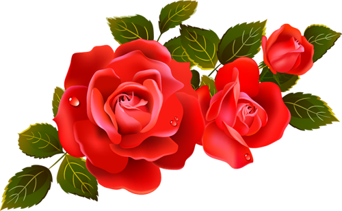 red-roses-clipart-roses-red-rose-clipart-clipart-kid-1172x725_96be90 - Copy (500x309, 148Kb)