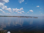 IMG_20170621_104718 (700x524, 274Kb)