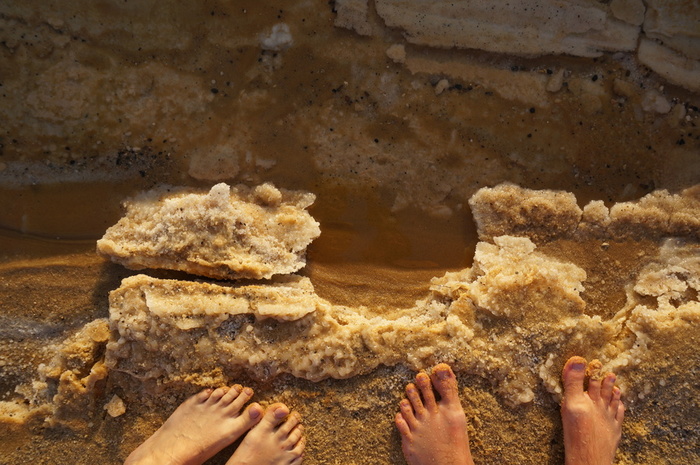 DSC07979 (700x465, 165Kb)