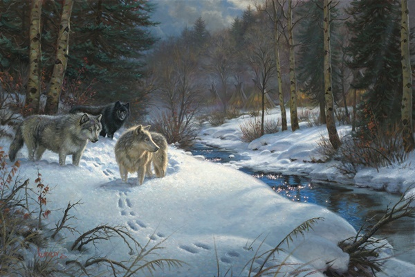 Mark Keathley -Valley_of_Shadows (600x400, 263Kb)