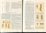  page_15 (700x508, 387Kb)