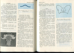  page_51 (700x508, 358Kb)