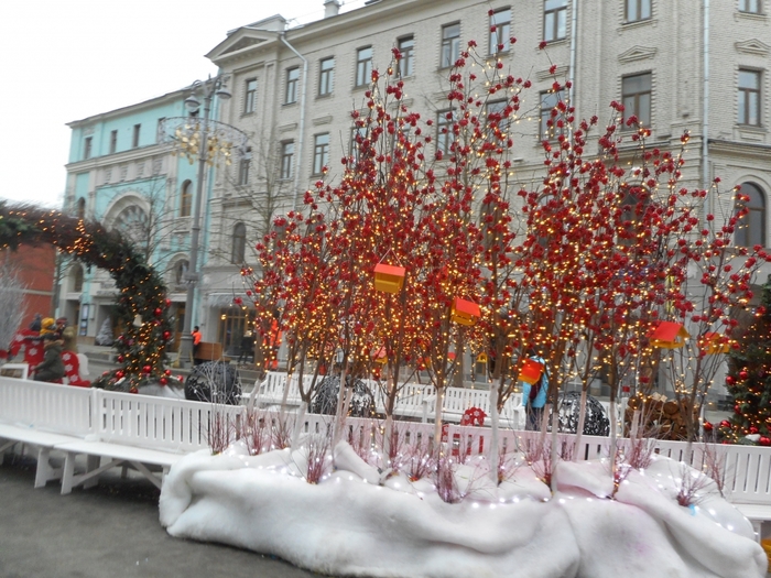 4878453_DSCN3181 (700x525, 333Kb)