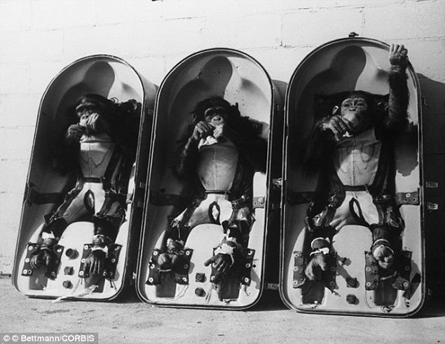 Почему американцы первой в космос запустили обезьяну