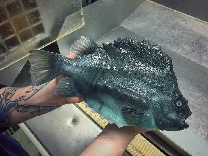 ловля рыбы в марте на море ловля рыбы в марте на море