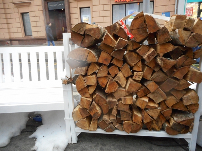 4878453_DSCN3381 (700x525, 275Kb)