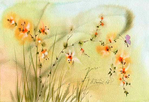  c60ee9137a1bdad317ce388fd9e99376img267 (550x377, 160Kb)