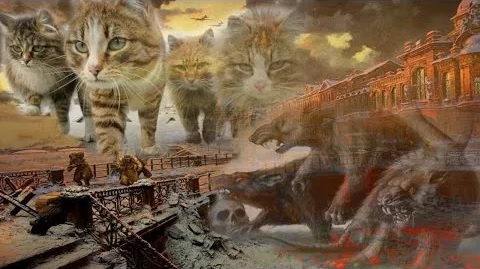  (480x269, 60Kb)
