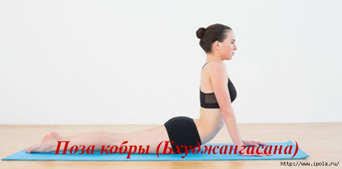 alt="      ?"/2835299_Poza_kobri_Bhydjangasana (700x346, 74Kb)