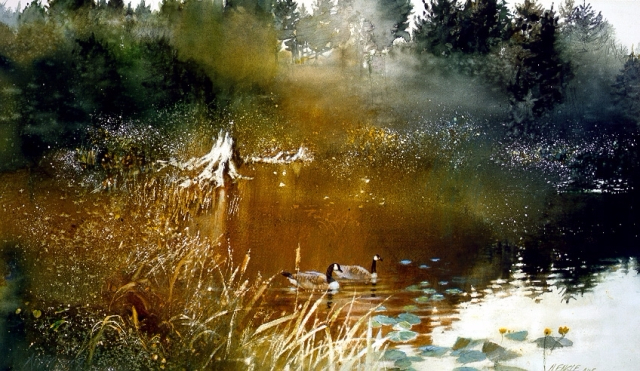 12 (640x371, 314Kb)