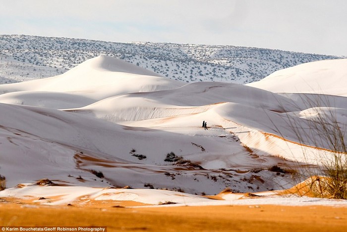 Зимнее чудо! В пустыне Сахара снова выпал снег