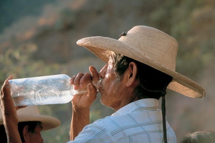 Текила — душа Мексики. Один из самых популярных напитков в мире