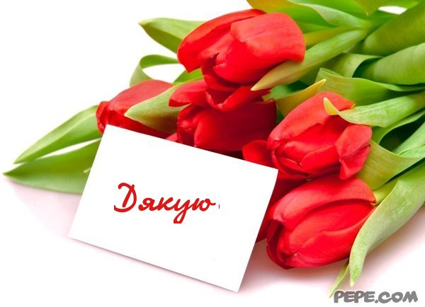 dyakooyoo_21 (600x434, 175Kb)