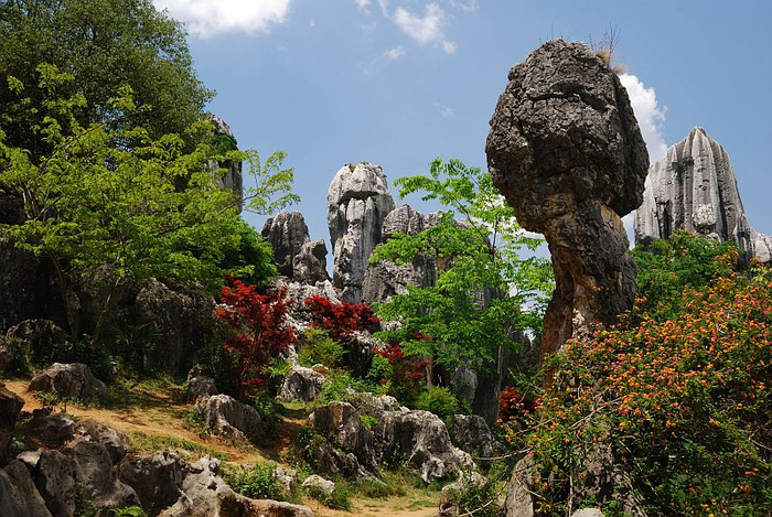 Каменные лес Шилинь китай 9 (700x469, 491Kb)
