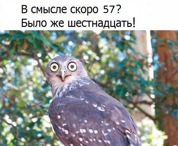 2695291622 (600x494, 182Kb)