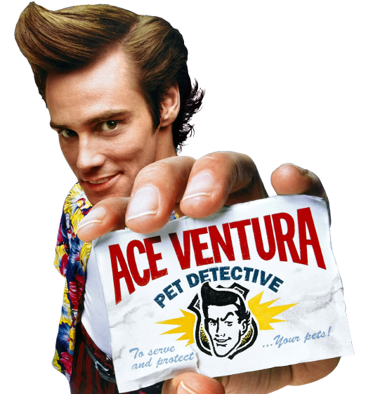 Ace_Ventura (521x561, 463Kb)