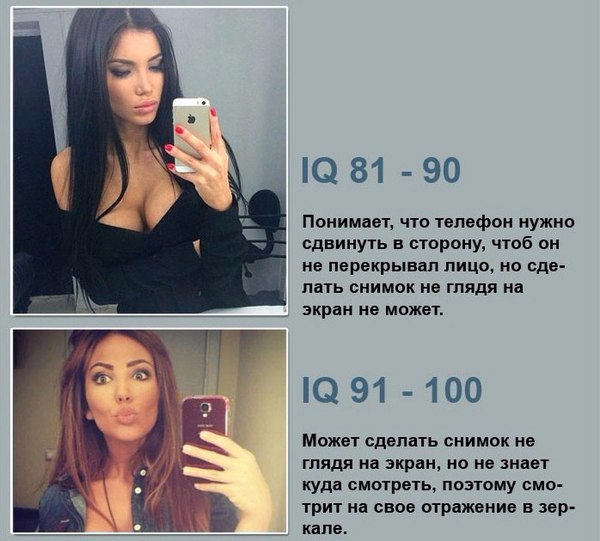iq2 (600x541, 186Kb)