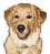 916668453 (1) (45x49, 2Kb)