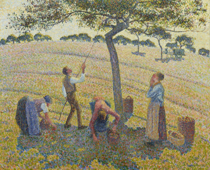 8 Камиль Писсарро, «Сбор яблок в раньи» (1888) (700x567, 681Kb)