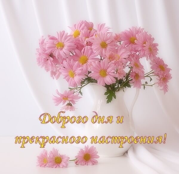 dobrogo-dnya-i-prekrasnogo-nastroeniya-krasivye-kartinki-humoraf_ru-32 (600x584, 46Kb)