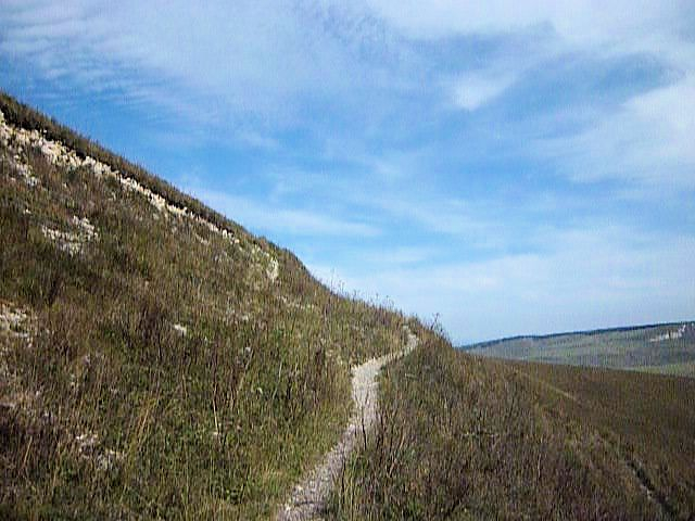 P1060026 (640x480, 218Kb)
