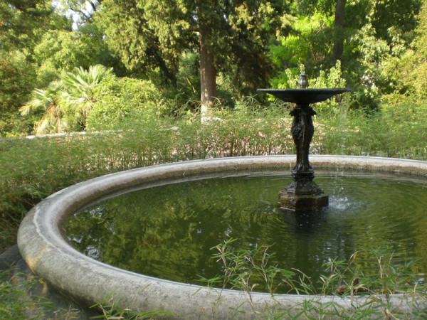 Ботанический сад Монпелье8-2 (600x450, 284Kb)