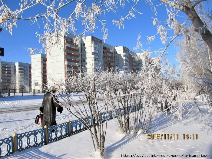 sharypovo_moroz 11.11.2018_16 (700x525, 306Kb)