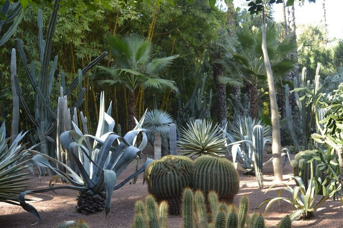 alt="   (Jardin Majorelle)   , "