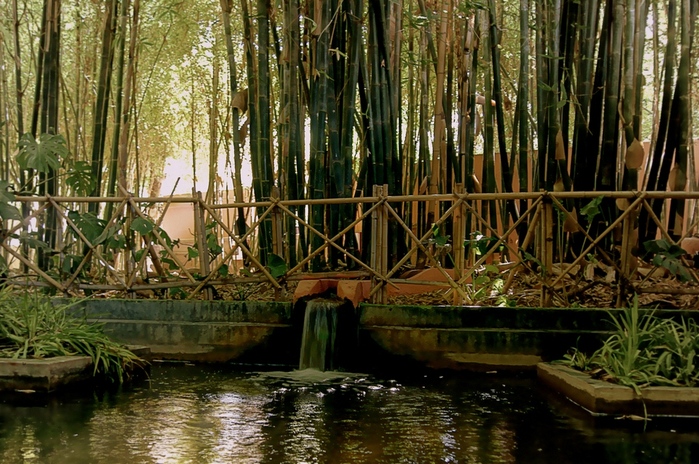 alt="   (Jardin Majorelle)   , "