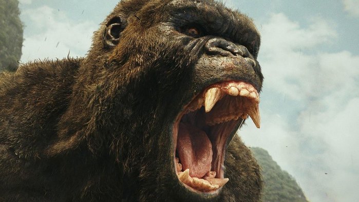 6073048_960x540 (700x393, 59Kb)