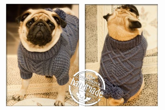 5537954_850bce9a2acceb190b6b23a19799c56dsweatersknitteddogsweaters (700x466, 63Kb)