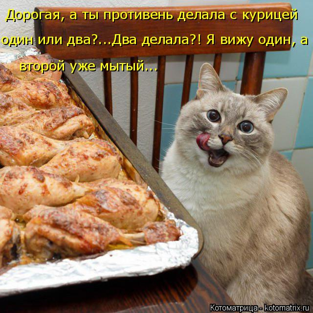 kotomatritsa_C (1) (640x640, 356Kb)