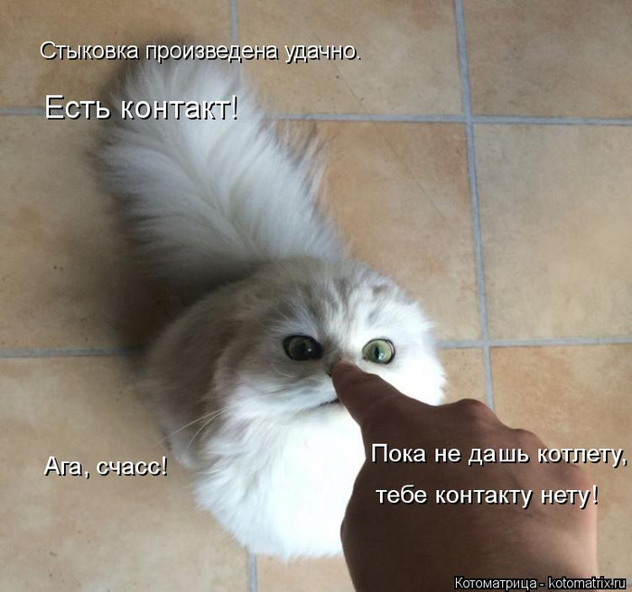kotomatritsa_K (700x656, 305Kb)