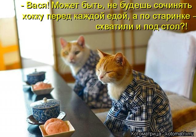 kotomatritsa_Q (637x444, 228Kb)