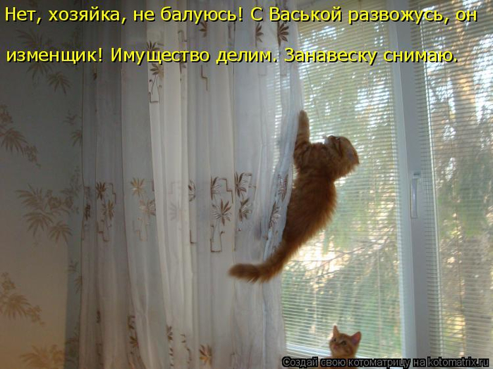 kotomatritsa_y (700x524, 347Kb)