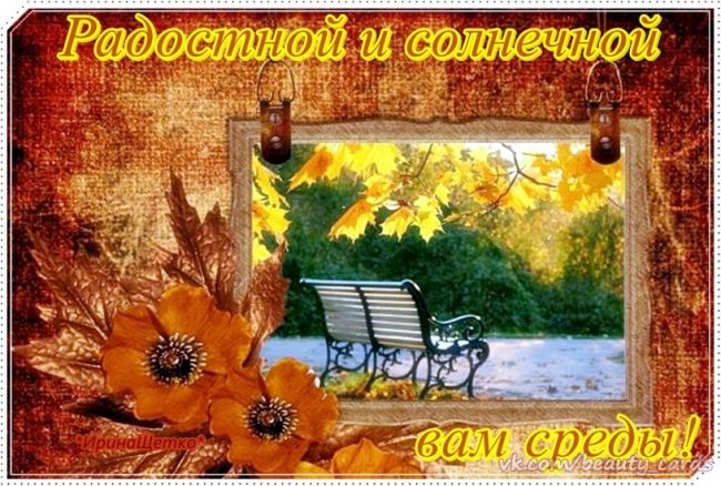 3470549_sreda11 (650x438, 100Kb)