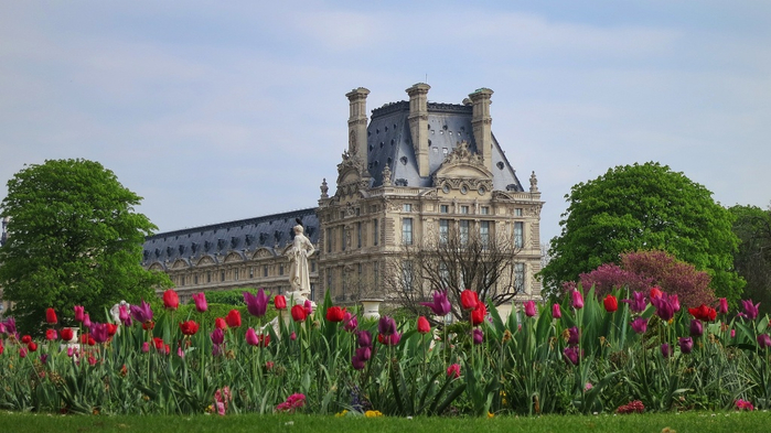 Tulips-in-Tuileries-Gardens-Paris (700x393, 308Kb)