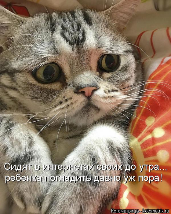 kotomatritsa_j (560x700, 408Kb)
