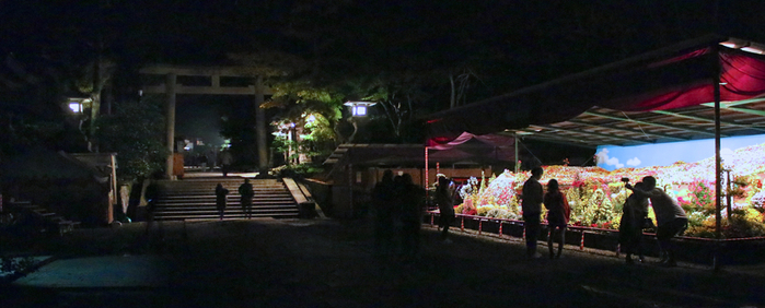 IMG_6154 (700x282, 251Kb)