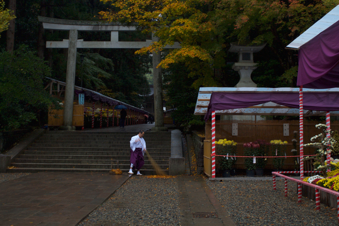 IMG_6358 (700x466, 504Kb)