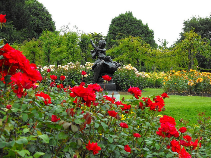!РЎР°Рґ В«Rose garden queen Mary LondonВ»! (700x525, 529Kb)