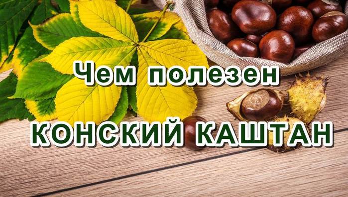 Конский Каштан Для Волос