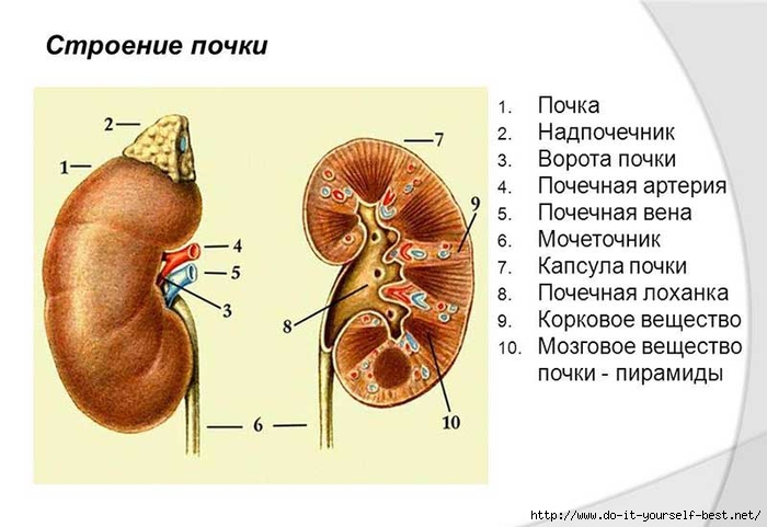 yg5QSymkp90 (700x481, 178Kb)