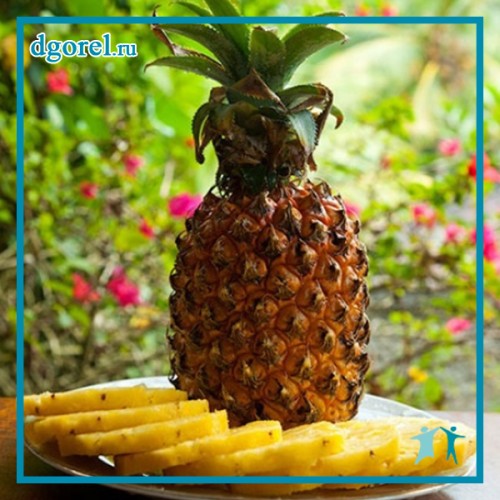   /5975660_Ananas_m (500x500, 741Kb)