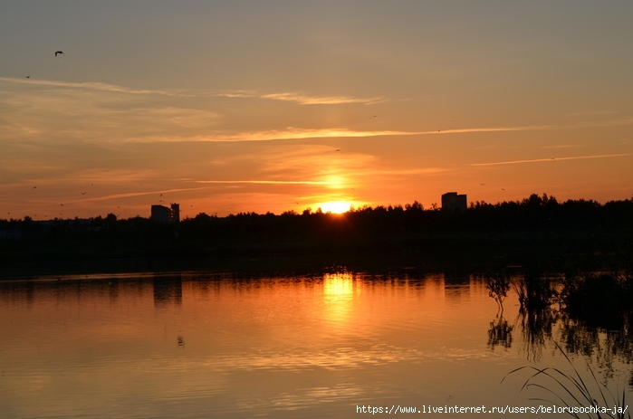 DSC_0148 (700x463, 156Kb)