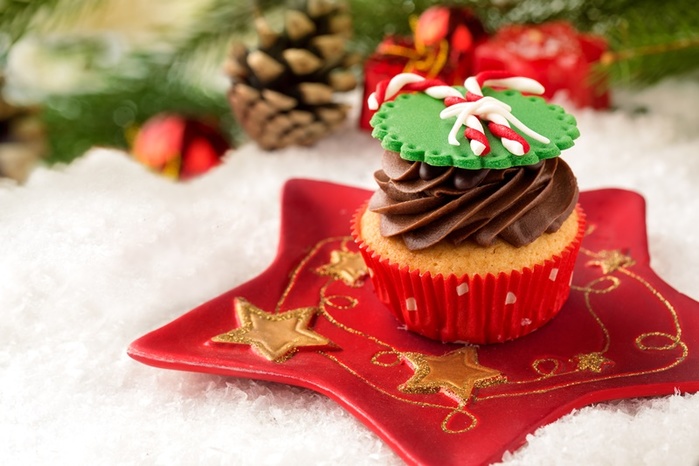 4920201_Christmas_Sweets_Cake_462909 (700x466, 107Kb)