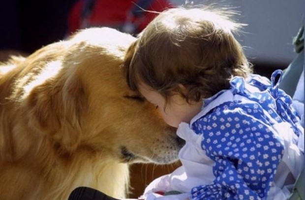 5402287_4603015_skzh1506620x407 (620x407, 110Kb)